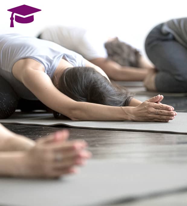Yogaschüler knieen auf ihren Matten und haben mit flach vorgebeugtem Oberkörper und nach vorne gestreckten Armen ihre Köpfe auf der Matte abgelegt und praktiziert Yin Yoga