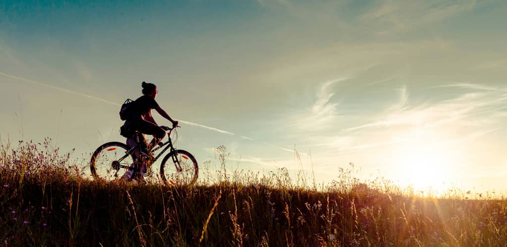 Person fährt mit dem Fahrrad durch eine Wiesenlandschaft bei tief stehender Sonne.
