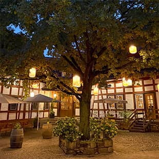 Großer, beleuchteter Baum mit Laternen im stimmungsvoll erleuchteten Innenhof von Jordan's Untermühle bei Abenddämmerung. (Foto: © Yogaplus/Susanne Weisheit)