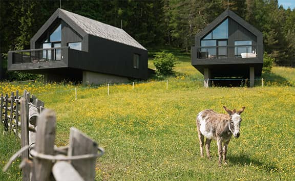 Esel auf blühender Wiese am Waldrand vor zwei modernen, dunklen Chalets des Naturhotels Pfösl.